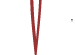 ExamVision